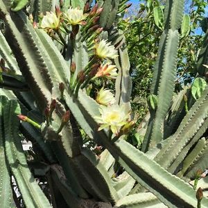 Meet your Posher, Fiona